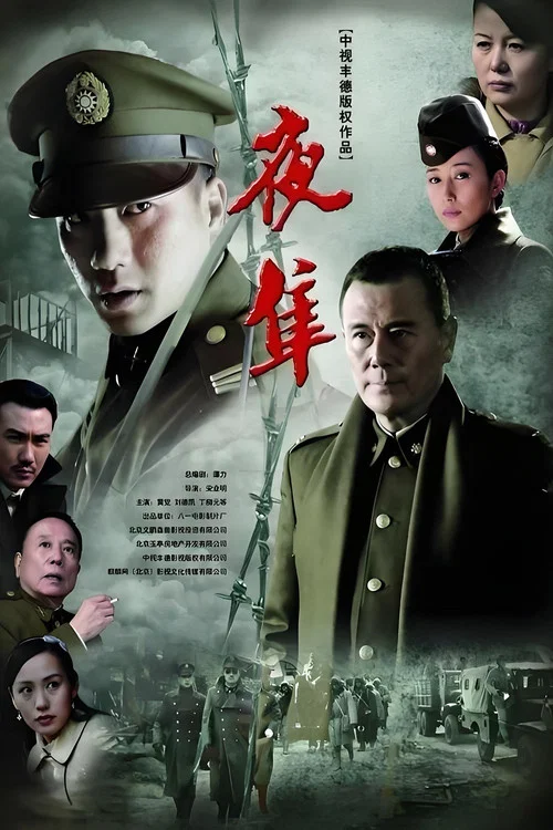 夜隼(2012)海报