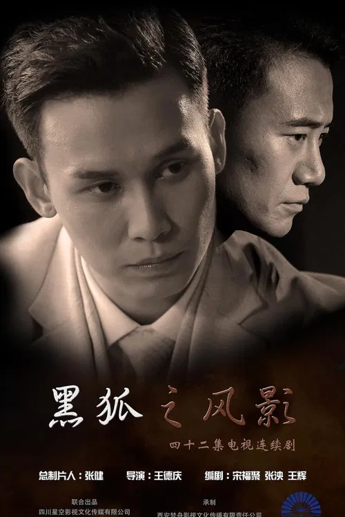 黑狐之风影(2016)海报