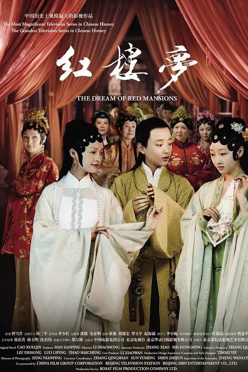 紅樓夢(2010)海報