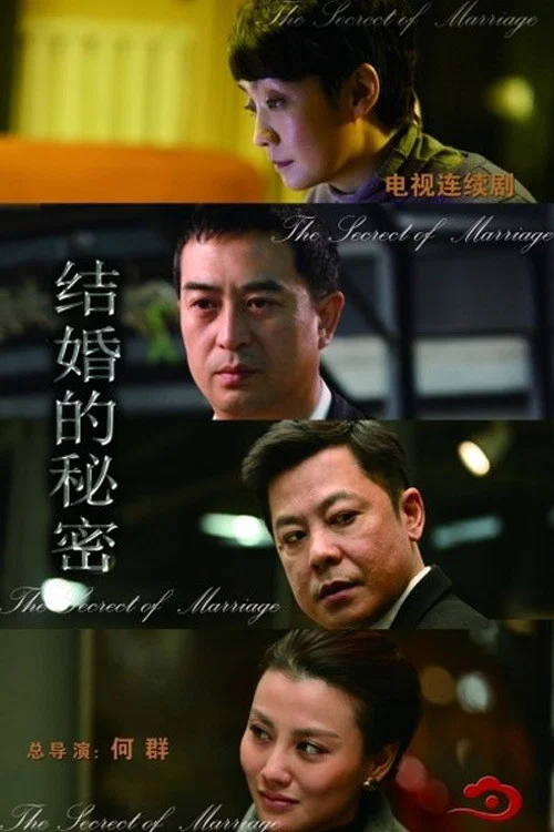 結婚的秘密(2014)海報