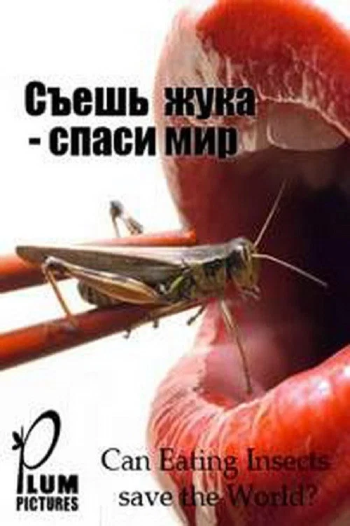 昆虫拯救海报