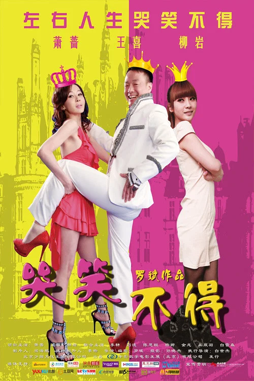 哭笑不得(2012)海報