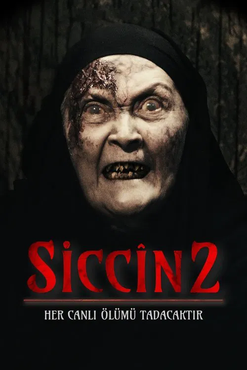 西辛2(2015)海报