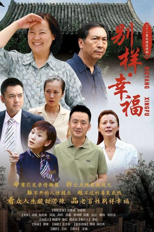 别样幸福海报