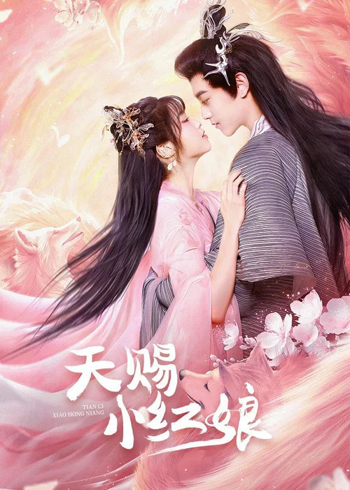 天赐小红娘(2024)海报