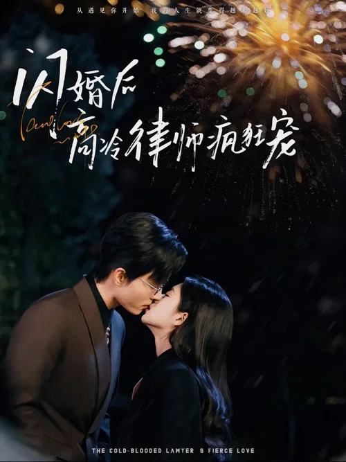 闪婚后蒋律师卑微求爱(2025)海报