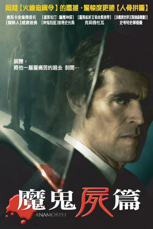 失真的畫(2007)海報