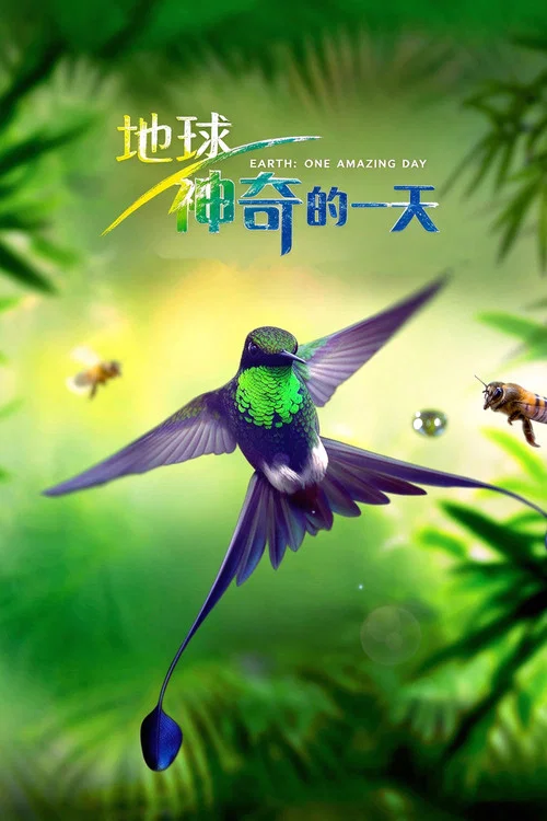 地球:神奇的一天(2017)海报