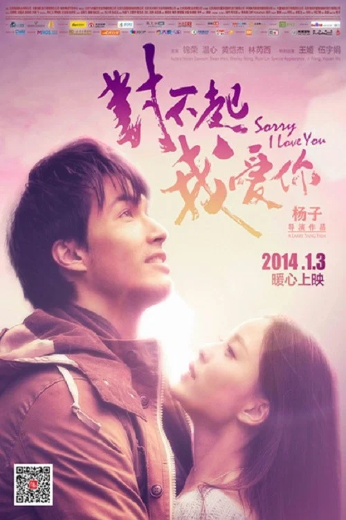 对不起,我爱你(2013)海报