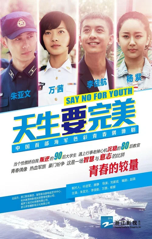天生要完美(2015)海報
