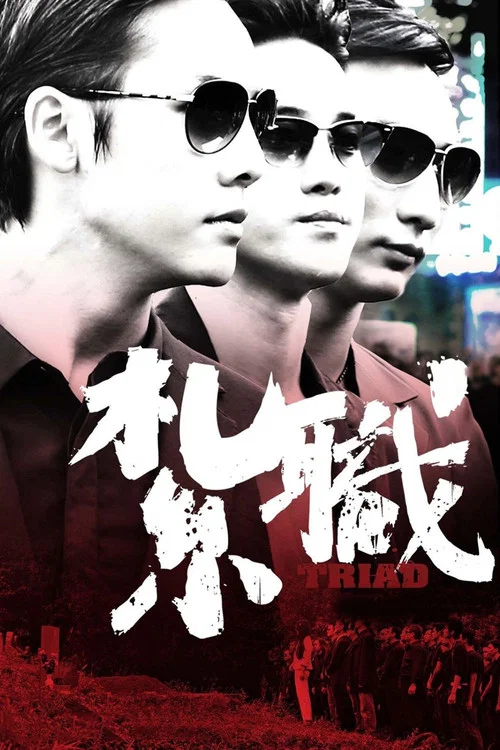 扎职粤语(2012)海报