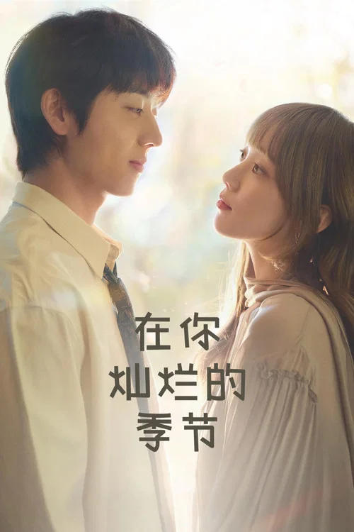 在你燦爛的季節(2026)海報