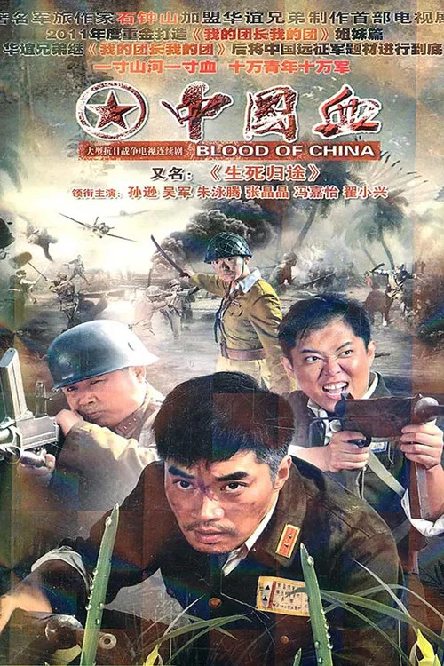 归途(2011)海报