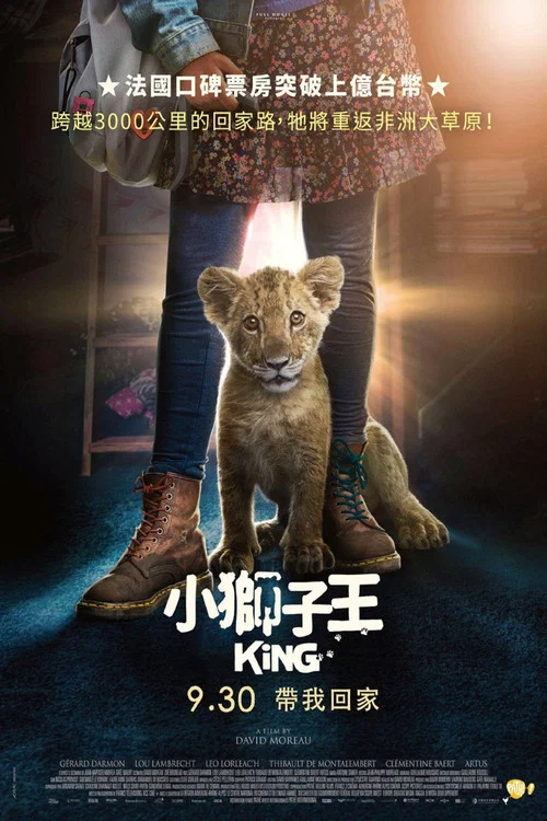 我的小獅王(2022)海報