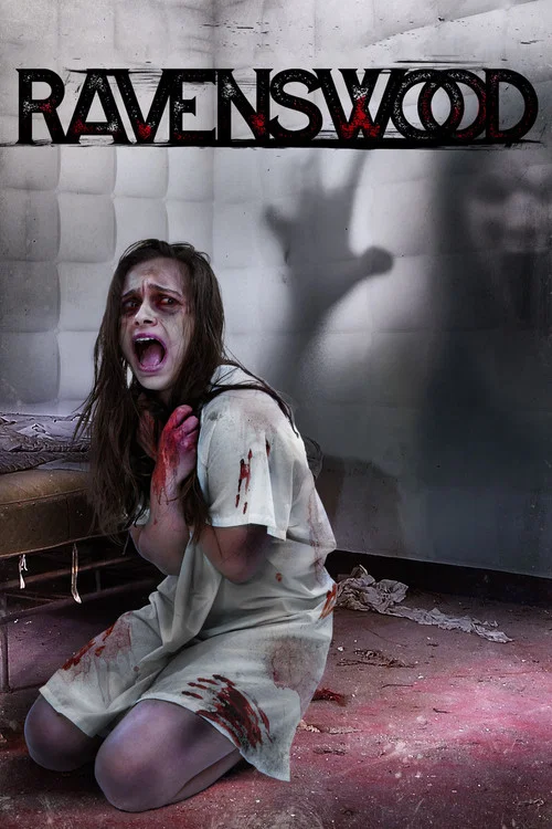 瘋人怨(2017)海報