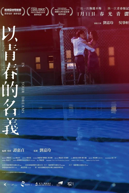 以青春的名義(2017)海報