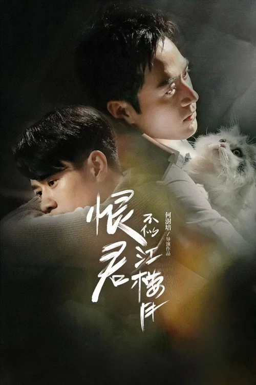恨君不似江楼月(2021)海报