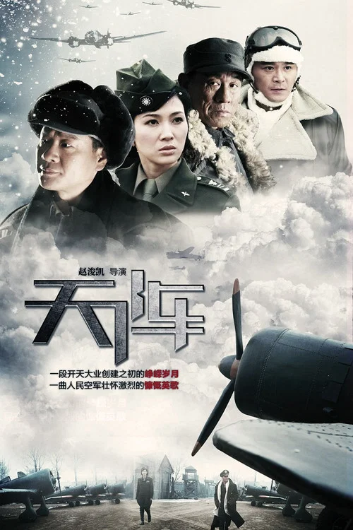 天阵(2010)海报