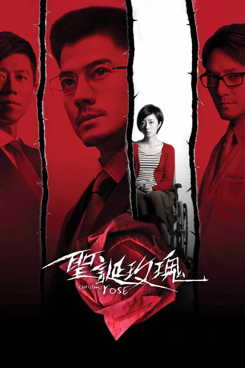 聖誕玫瑰(2013)海報