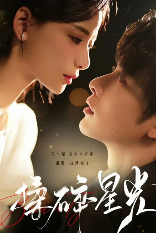 揉碎星光(2024)海報