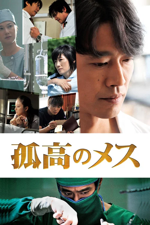 孤高的手術刀(2010)海報