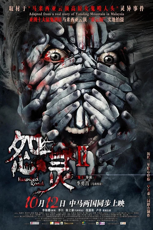 怨灵2(2017)海报