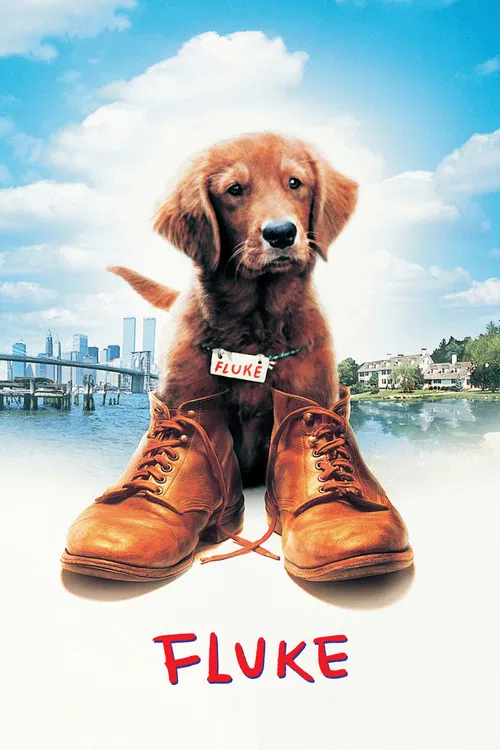再世人狗緣(1995)海報