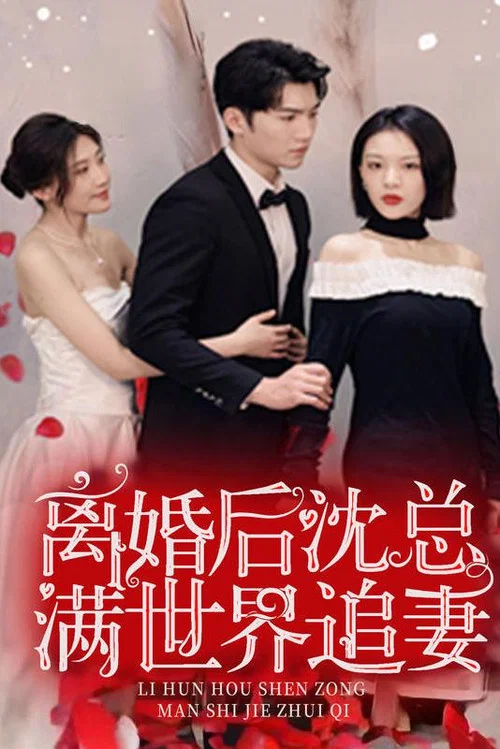 离婚后,沈总满世界追妻(2023)海报