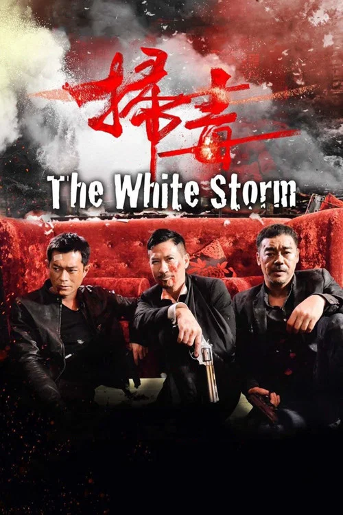 扫毒(2013)海报