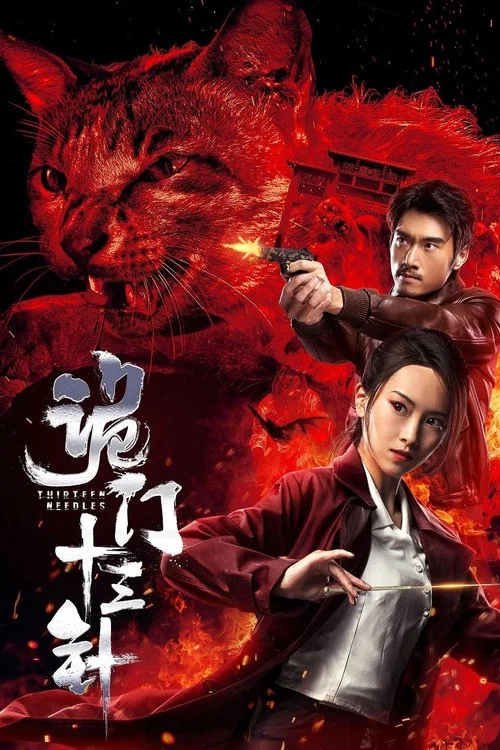 诡门十三针(2019)海报