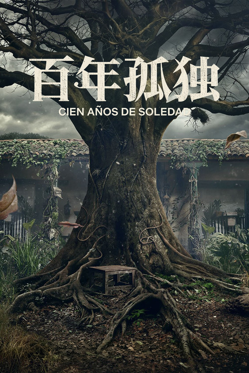 百年孤独(2024)海报