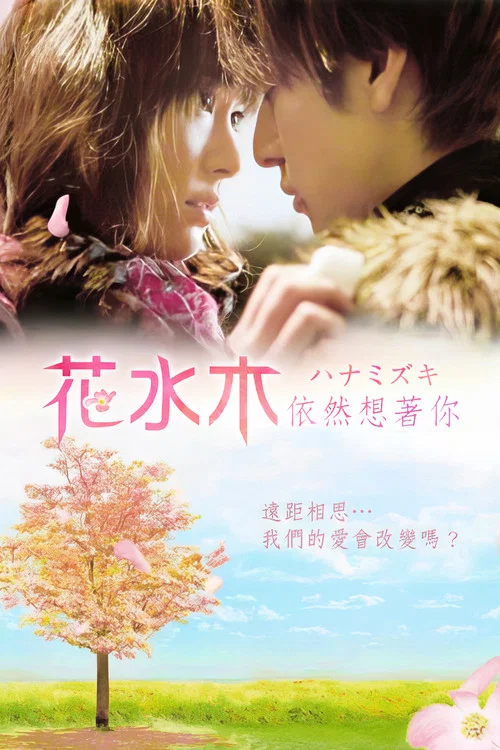 花水木(2010)海报