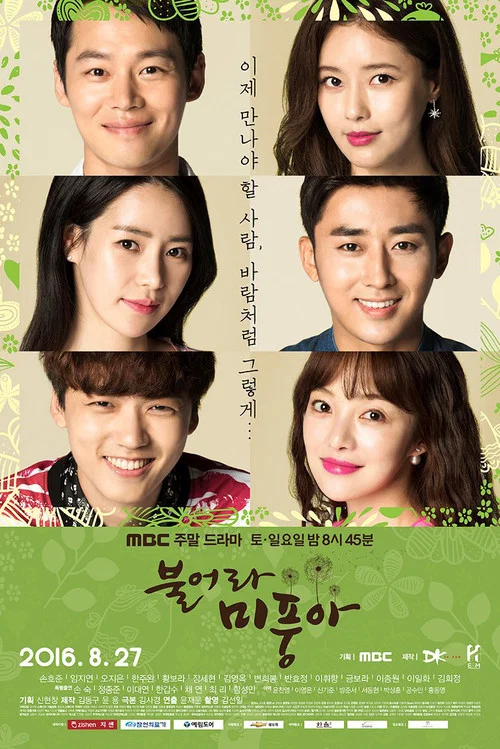 吹吧,微風啊(2016)海報