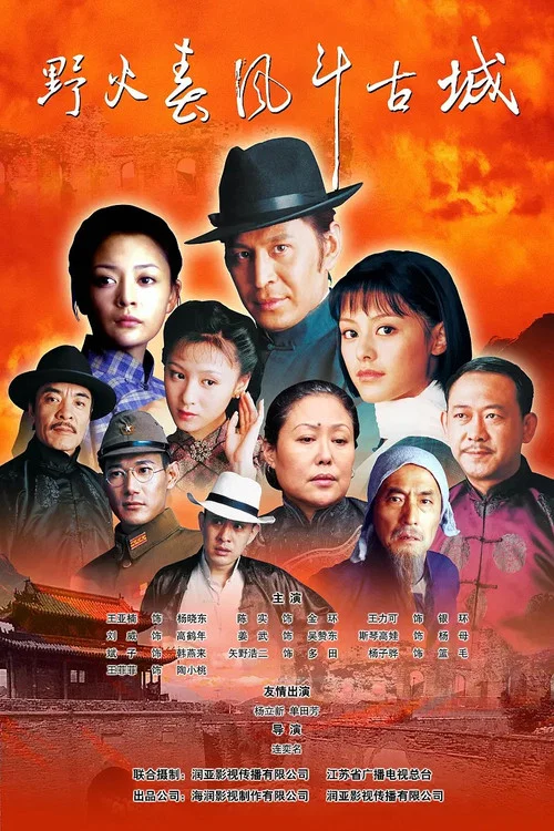 野火春风斗古城(2005)海报