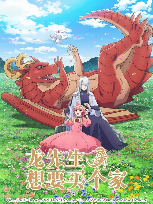 龙先生,想要买个家。(2021)海报