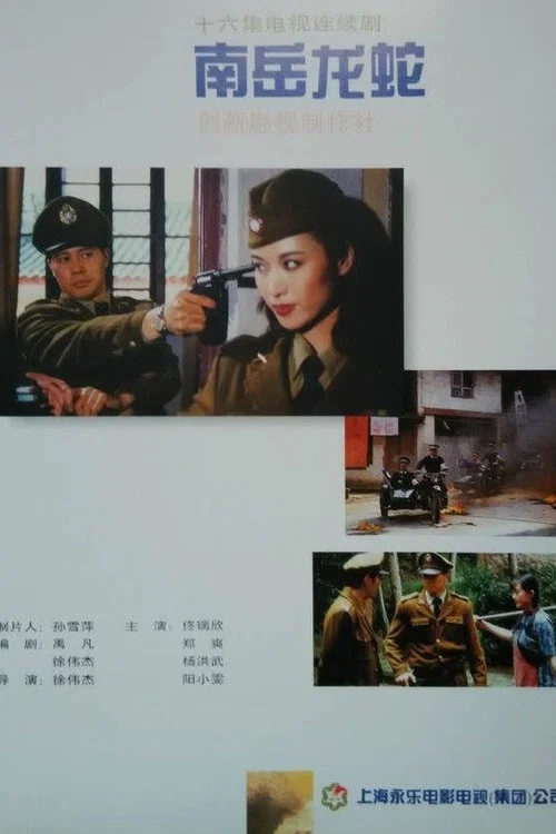 南岳龙蛇海报