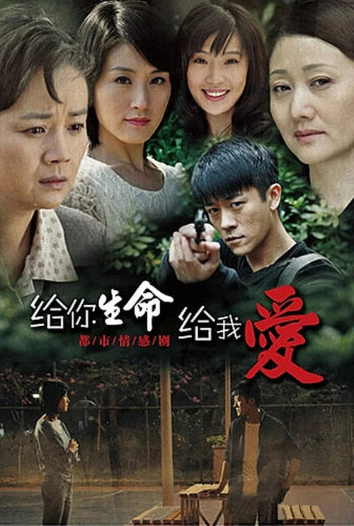 给你生命给我爱(2010)海报