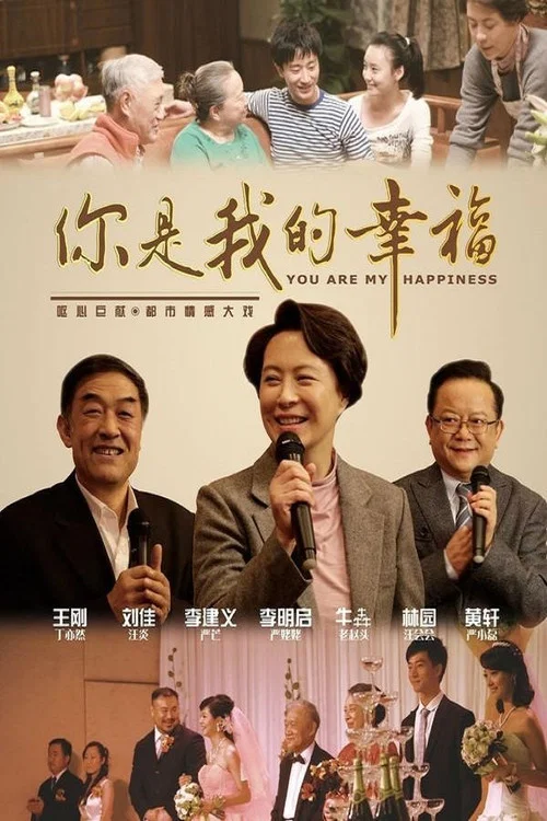 你是我的幸福(2011)海报