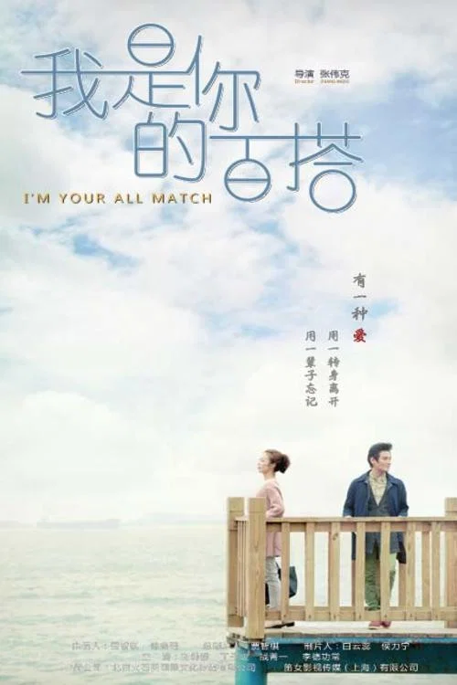 我是你的百搭(2016)海報