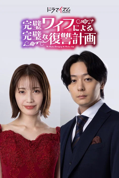 完美妻子的完美復仇計劃(2024)海報