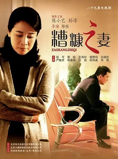 糟糠之妻(2011)海报