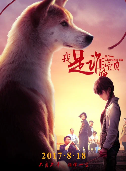 我是谁的宝贝(2017)海报
