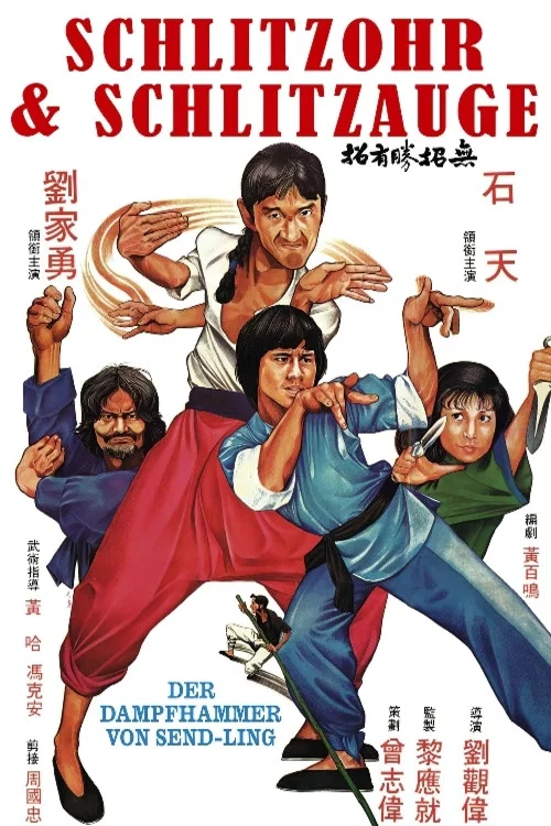 无招胜有招(1979)海报