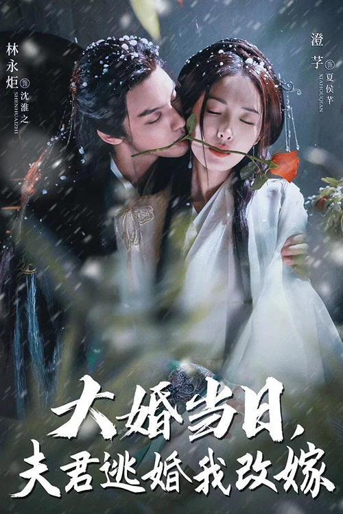大婚當日夫君逃婚我改嫁(2025)海報