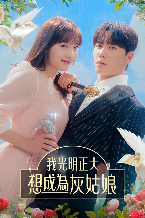我公然夢想成為灰姑娘(2024)海報