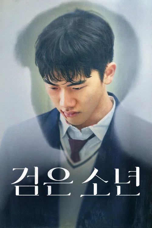 黑色少年(2024)海報