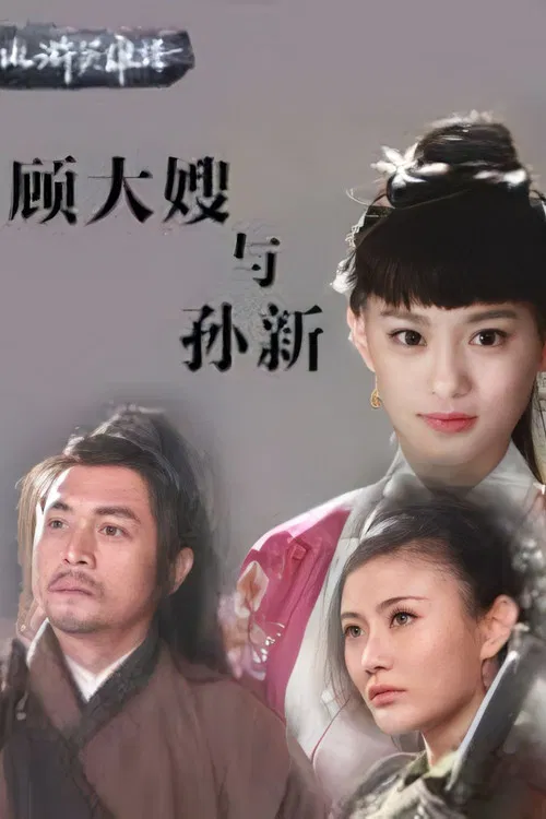 顾大嫂与孙新(2014)海报