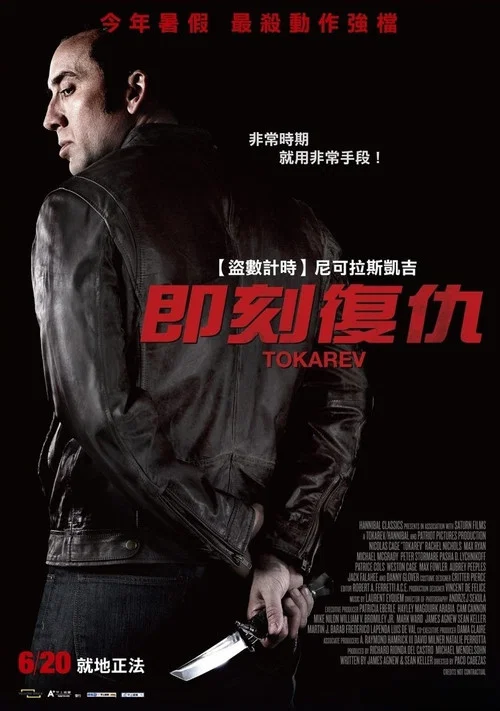 托卡列夫(2014)海报