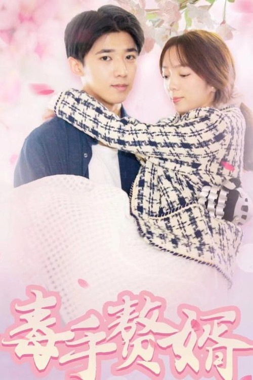 毒手赘婿(2023)海报