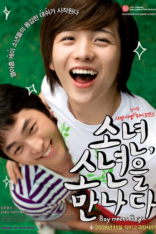 當少年遇到少年(2008)海報